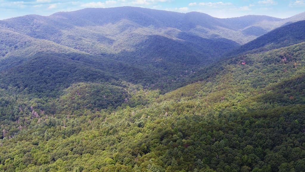 1055 Wolfpen Trail, Ellijay GA 30536 - Photo