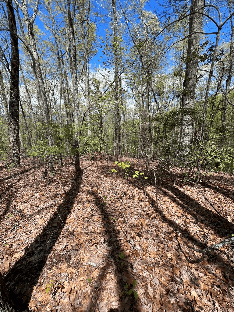 33 35 36 Ash Branch, Hayesville NC 28904 - Photo