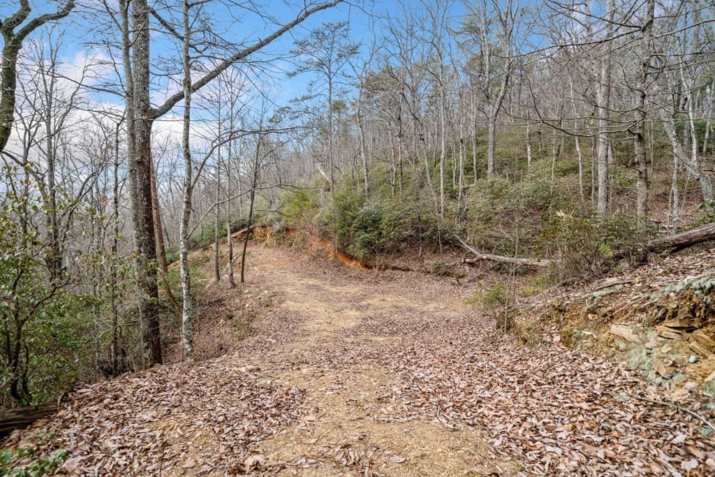 0 Big Oak Drive, Jasper GA 30143 - Photo