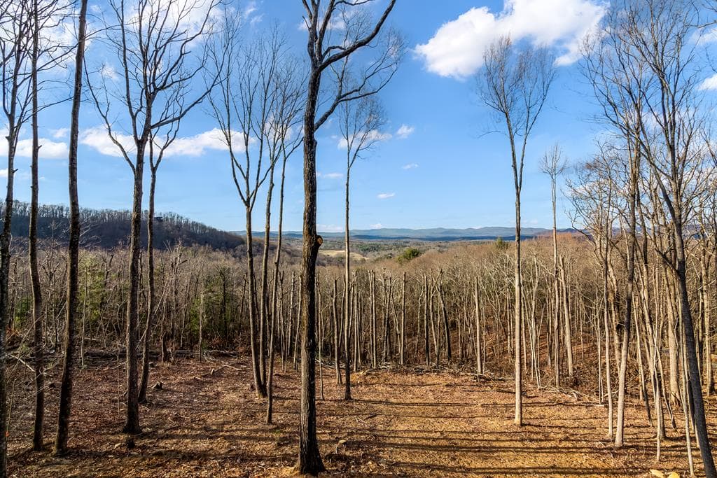 23 Green Cabin Way, Talking Rock GA 30175 - Photo