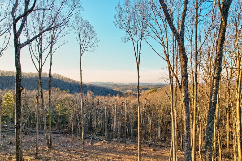 23 Green Cabin Way, Talking Rock GA 30175 - Photo