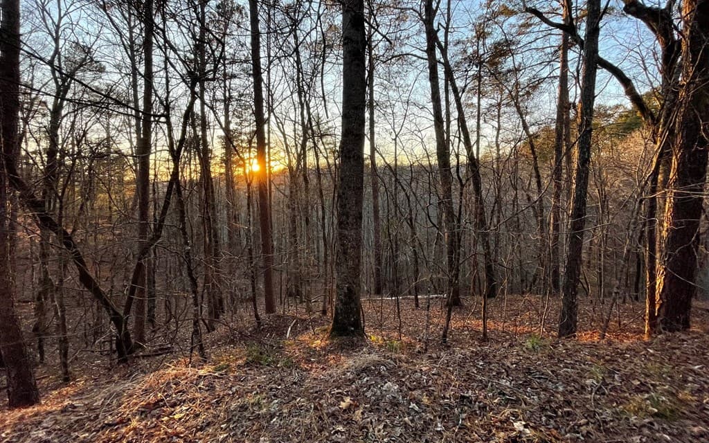 681,682 Julep Circle, Ellijay GA 30540 - Photo