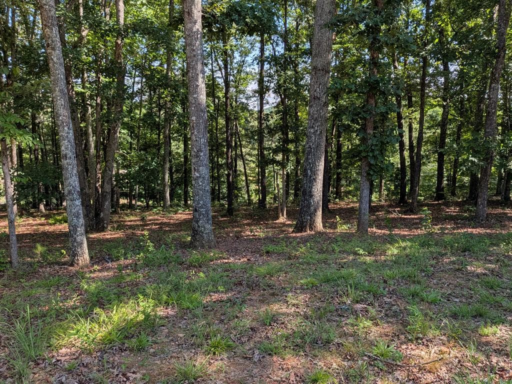 12 Daisy Drive, Brasstown NC 28902 - Photo