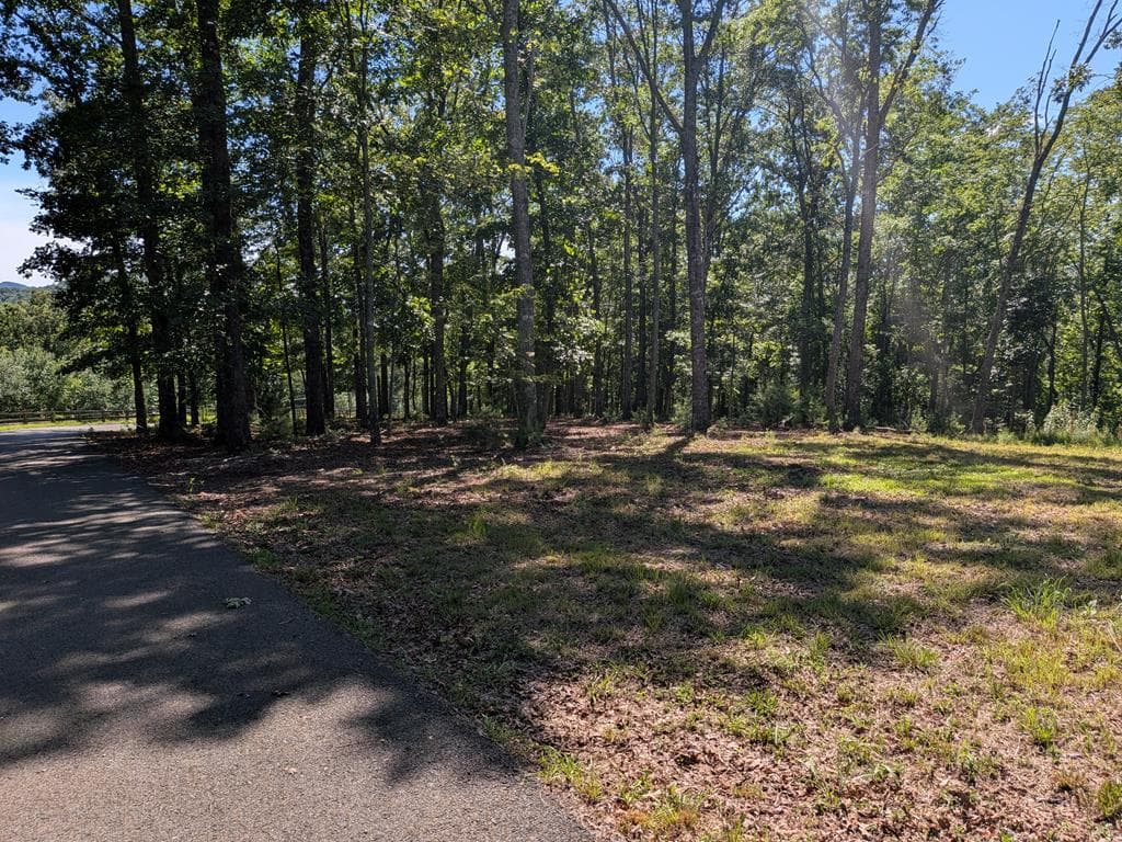 12 Daisy Drive, Brasstown NC 28902 - Photo