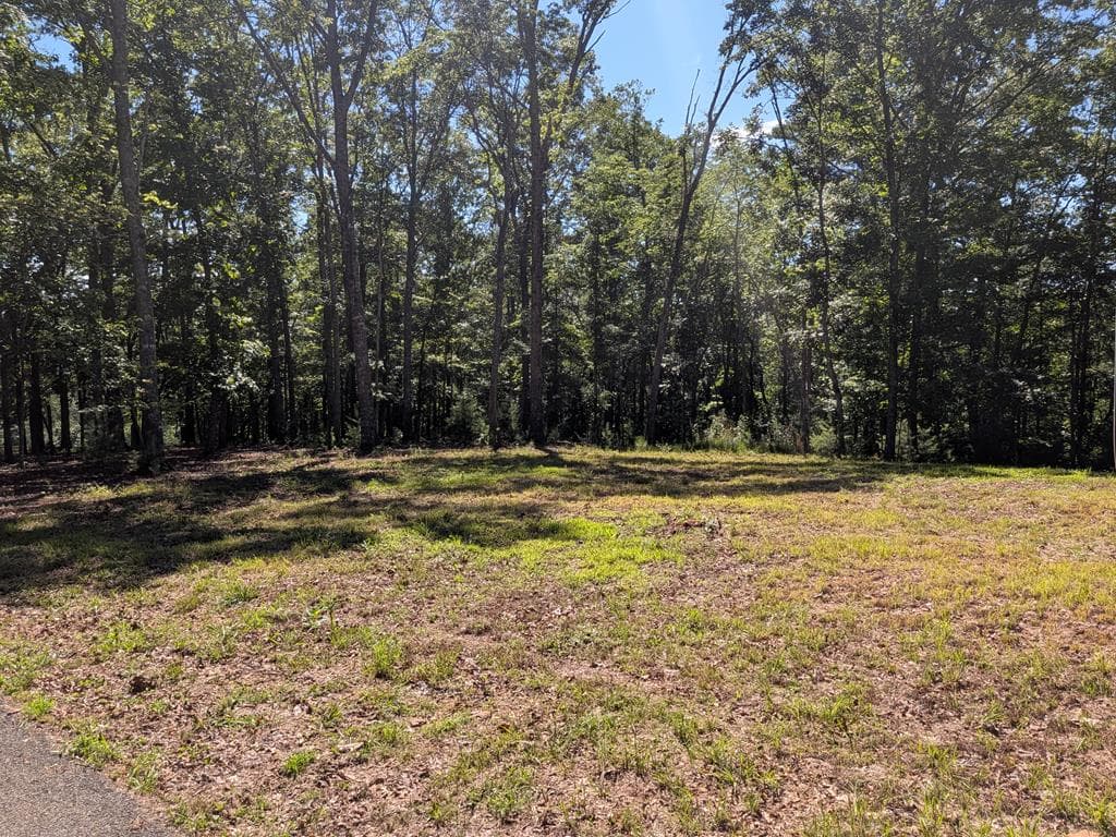 12 Daisy Drive, Brasstown NC 28902 - Photo