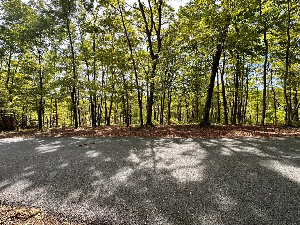 Lot 8 Settawig Overlook, Hayesville NC 28904 - Photo