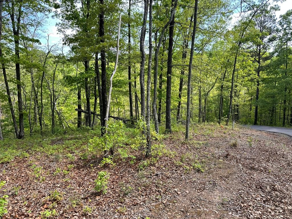 Lot 12 Settawig Overlook, Hayesville NC 28904 - Photo