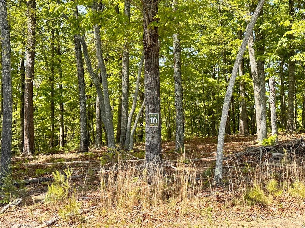 Lot 16 Settawig Overlook, Hayesville NC 28904 - Photo