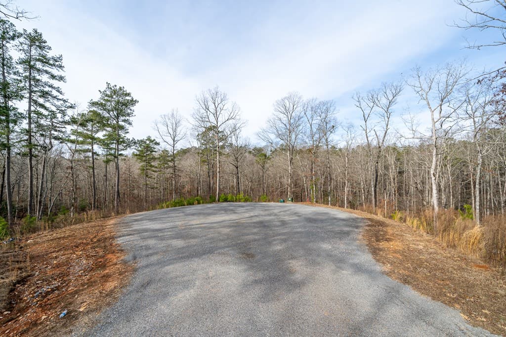 Lot 127 Red Hawk Lane, Ellijay GA 30540 - Photo