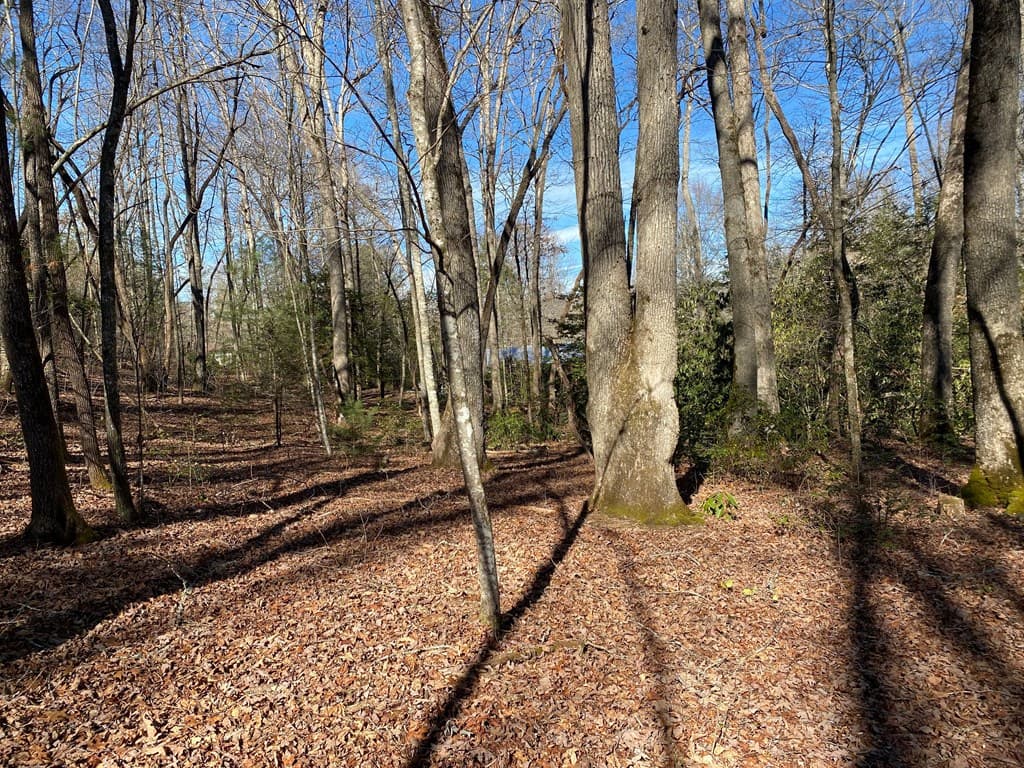 TBD Collett Woods Cove, Andrews NC 28901 - Photo