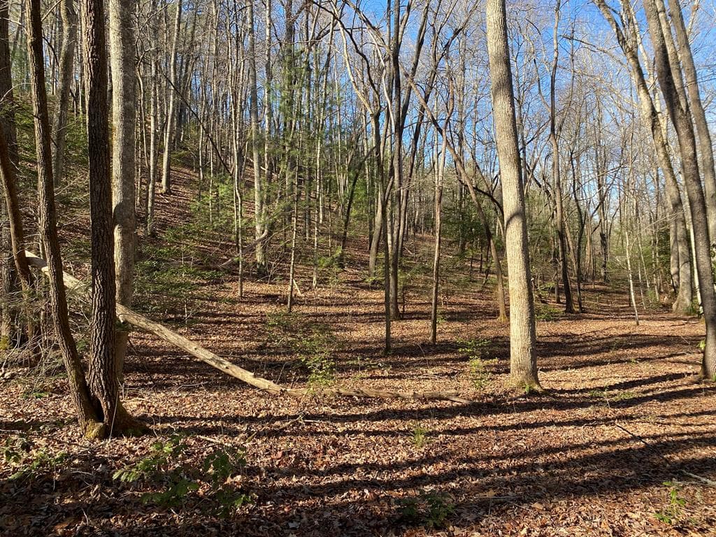 TBD Collett Woods Cove, Andrews NC 28901 - Primary photo