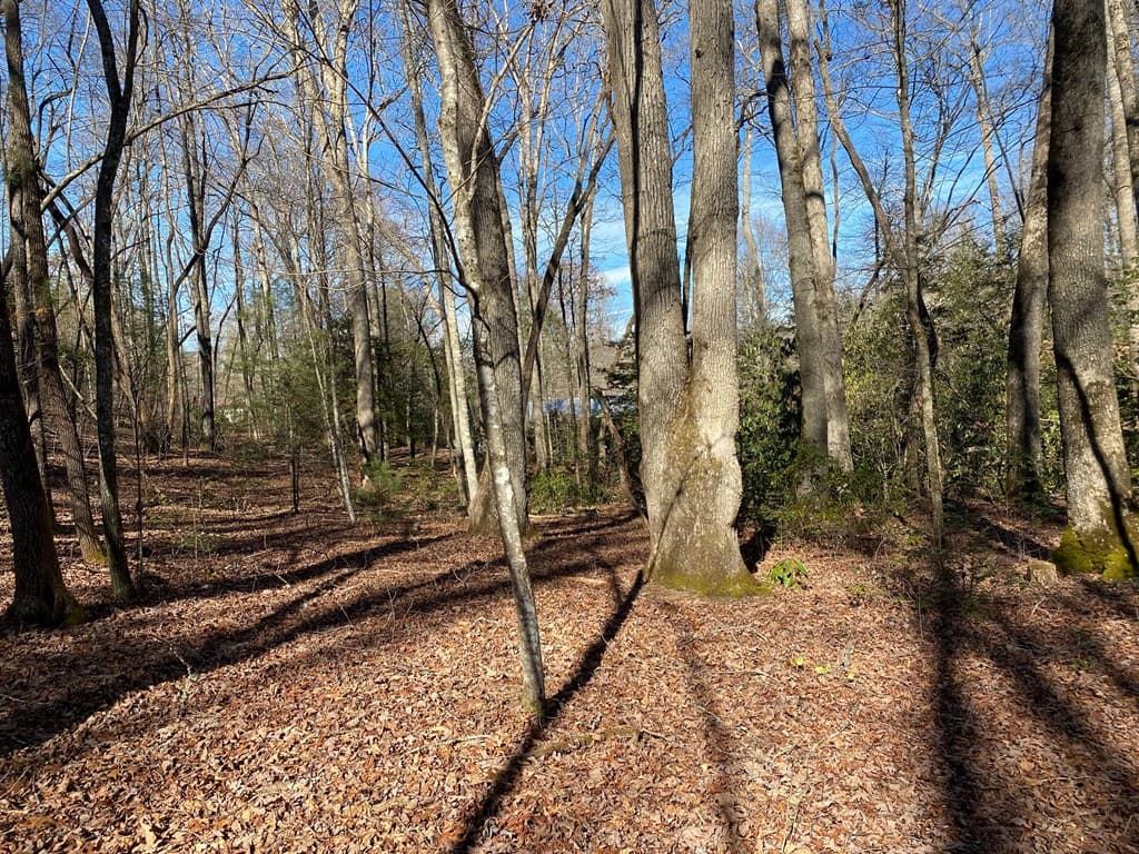 TBD Collett Woods Cove, Andrews NC 28901 - Photo