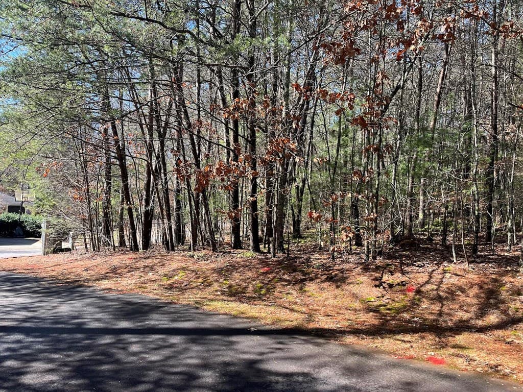 Lot 1 E Licklog Ridge, Hayesville NC 28904 - Photo