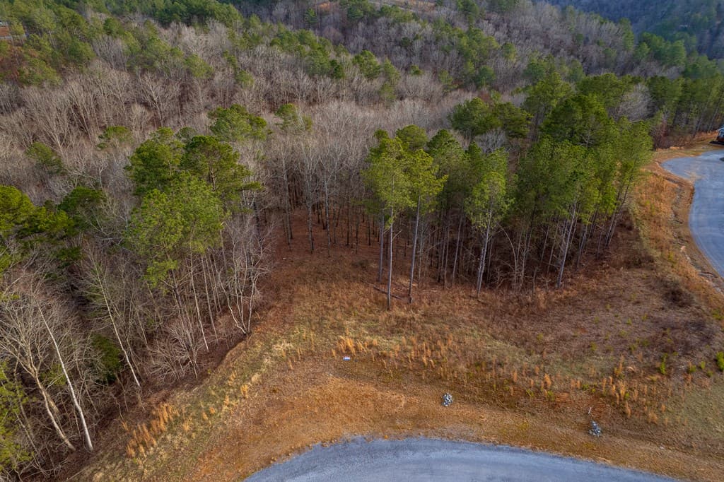 Lot 186 Shelter Cove Trail, Talking Rock GA 30175 - Photo