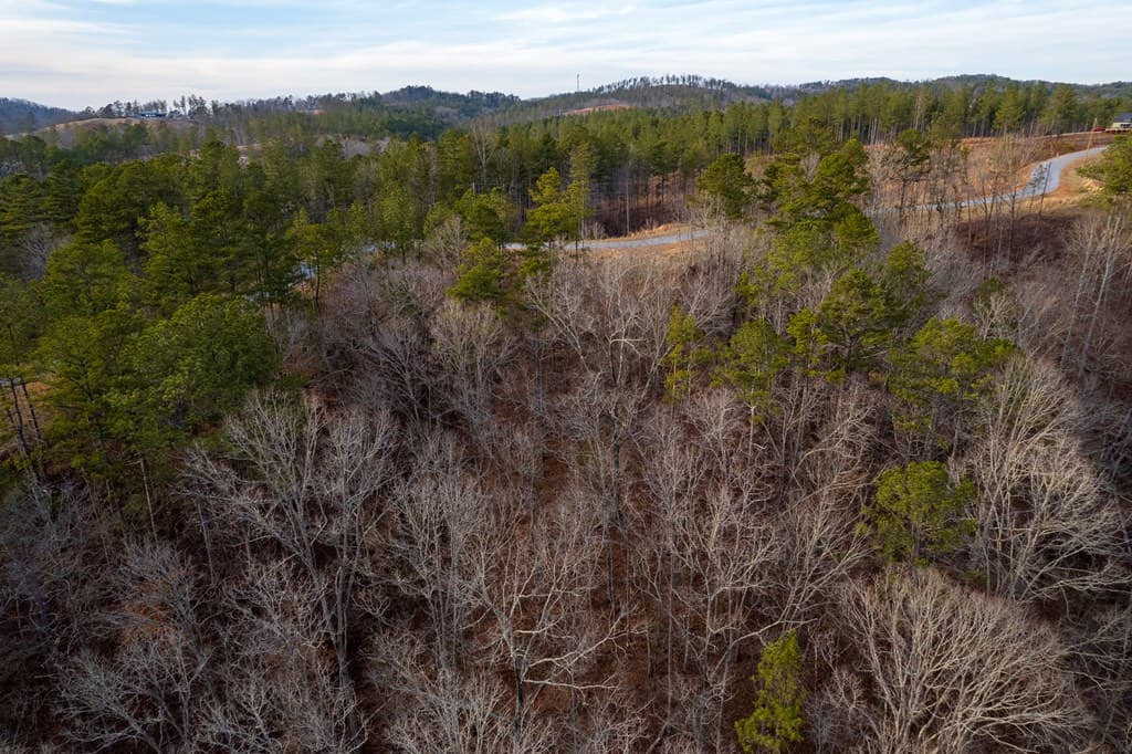 Lot 186 Shelter Cove Trail, Talking Rock GA 30175 - Photo