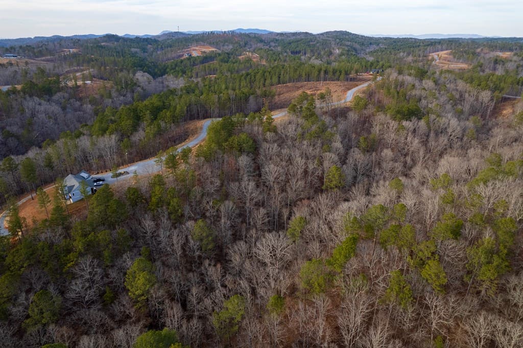 Lot 186 Shelter Cove Trail, Talking Rock GA 30175 - Photo