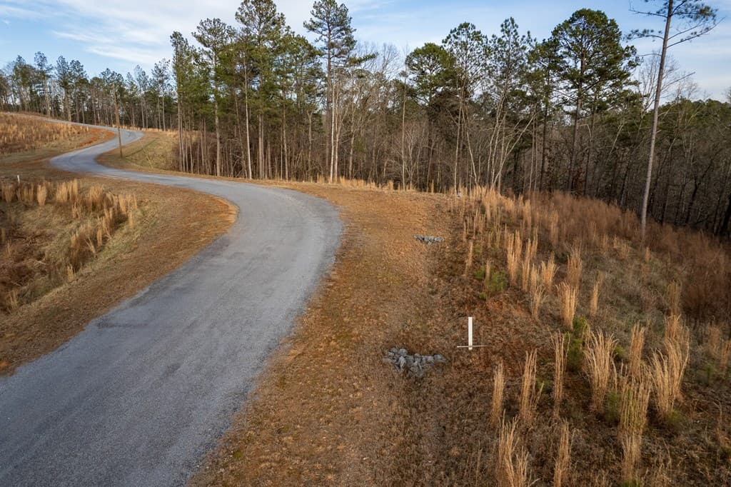 Lot 186 Shelter Cove Trail, Talking Rock GA 30175 - Photo