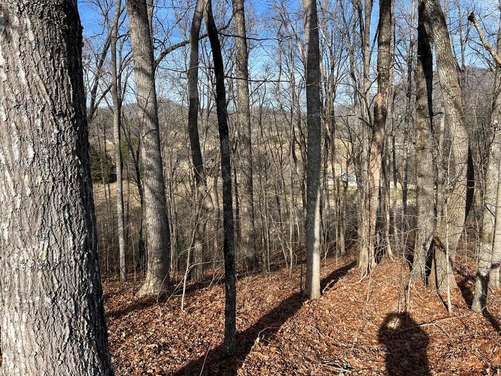 Lot 77A Licklog Ridge, Hayesville NC 28904 - Photo