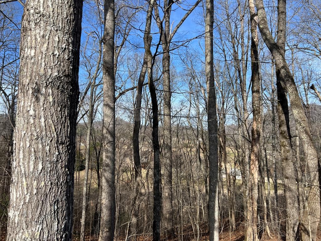 Lot 77A Licklog Ridge, Hayesville NC 28904 - Photo