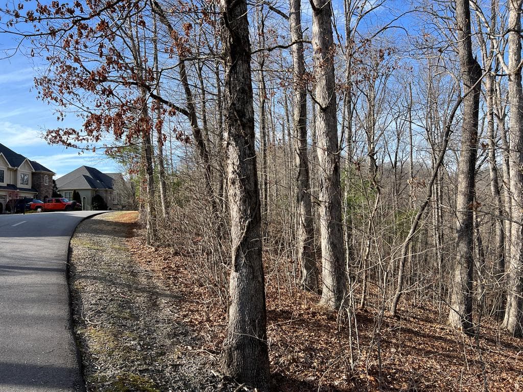 Lot 77A Licklog Ridge, Hayesville NC 28904 - Photo