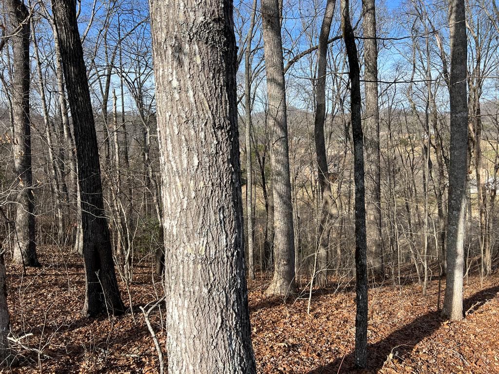Lot 77A Licklog Ridge, Hayesville NC 28904 - Photo
