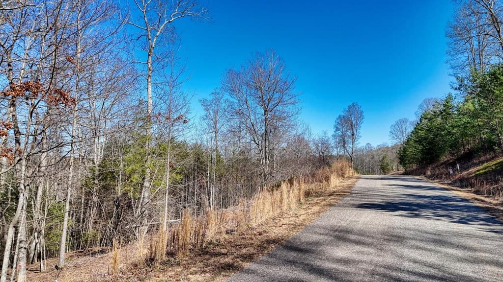 Lot 42 Coras Way, Blairsville GA 30512 - Photo
