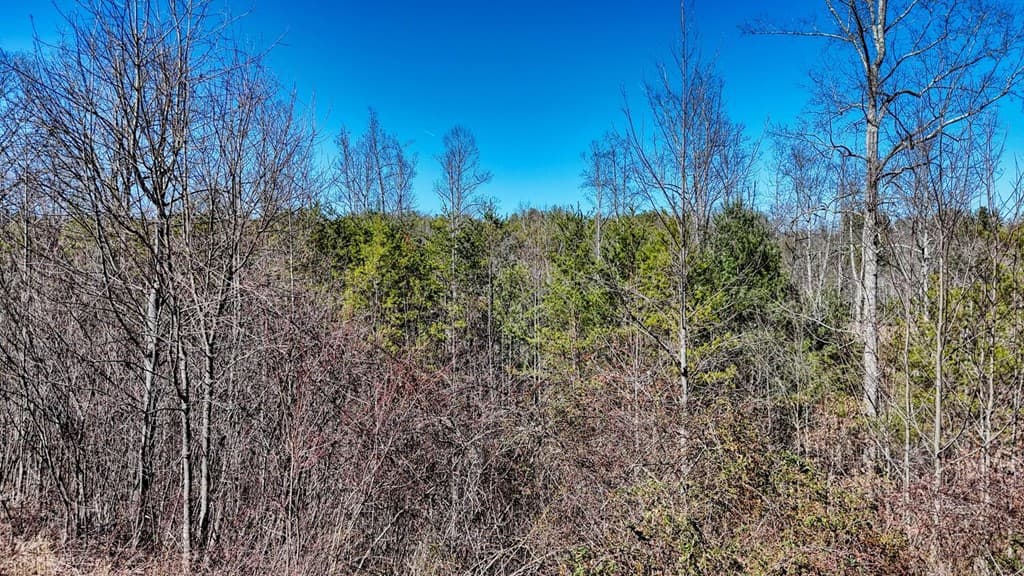 Lot 42 Coras Way, Blairsville GA 30512 - Photo
