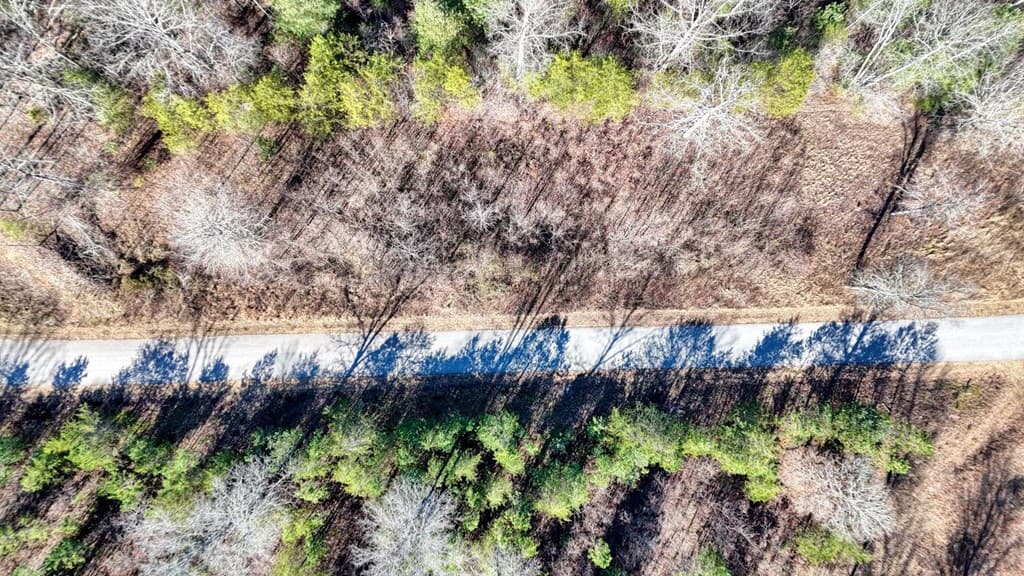 Lot 42 Coras Way, Blairsville GA 30512 - Photo