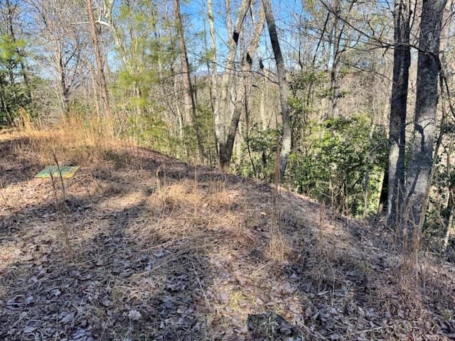 Lot 1198 Lancer Court, Ellijay GA 30540 - Photo