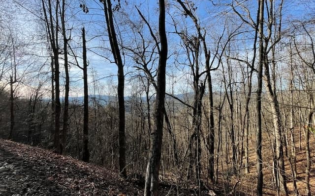 LT 73 Hidden Treasure Est, Murphy NC 28906 - Photo