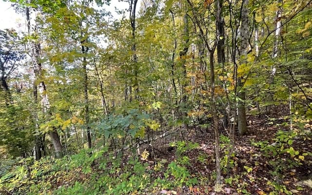 LT 73 Hidden Treasure Est, Murphy NC 28906 - Photo