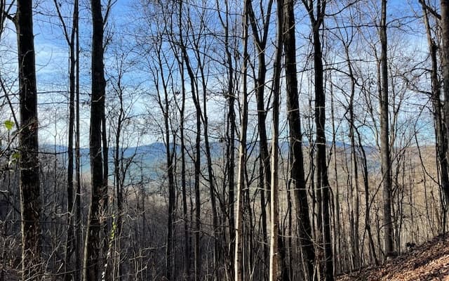 LT 73 Hidden Treasure Est, Murphy NC 28906 - Photo