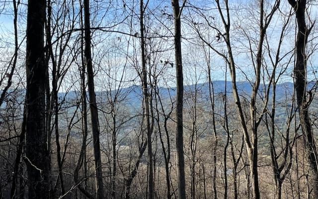 LT 73 Hidden Treasure Est, Murphy NC 28906 - Photo