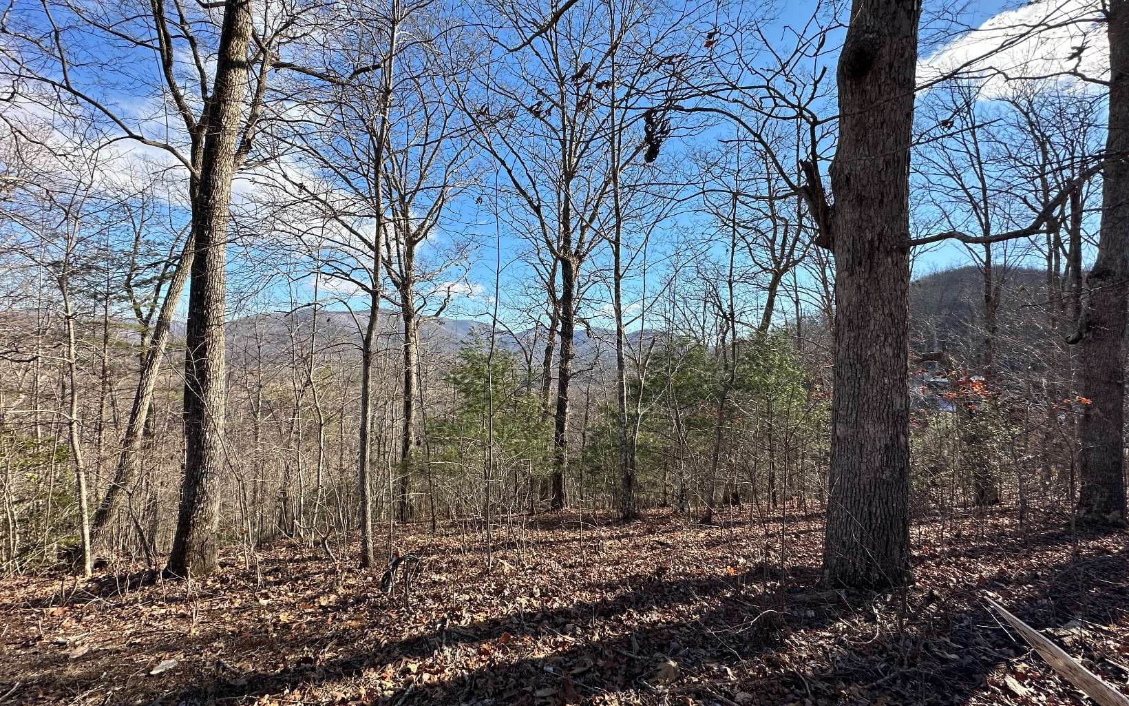 0 Clark Drive, Hiawassee GA 30546 - Photo