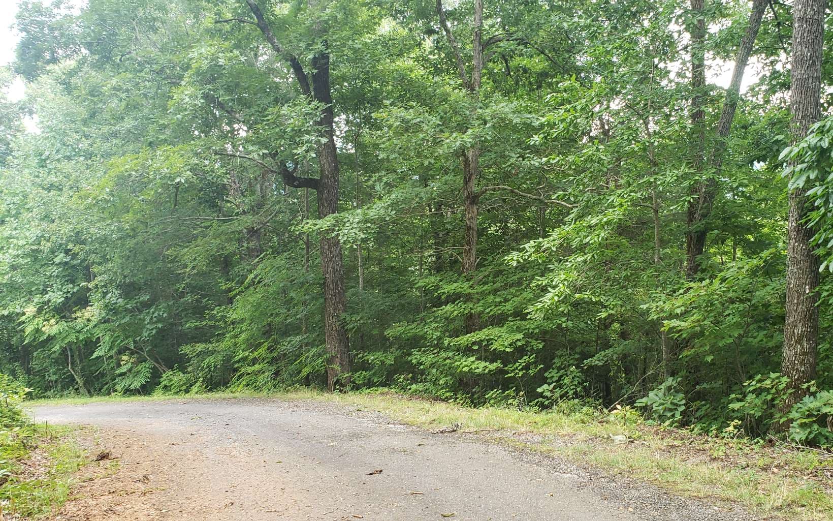 0 Clark Drive, Hiawassee GA 30546 - Photo