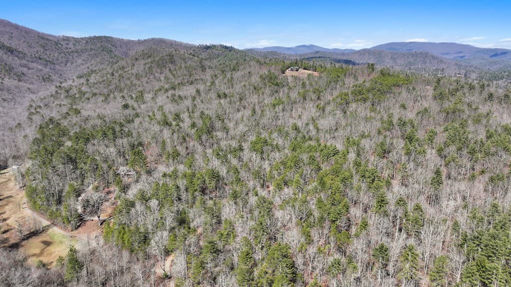 11.1 Ac. Stevens Ridge Road, Ellijay GA 30540 - Photo