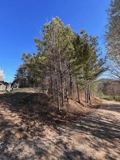 9-11 Sugar Maple Road, Murphy NC 28906 - Photo