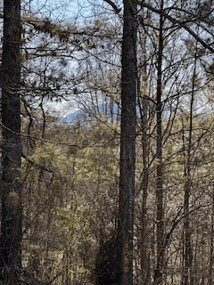 9-11 Sugar Maple Road, Murphy NC 28906 - Photo