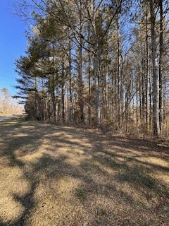 9-11 Sugar Maple Road, Murphy NC 28906 - Photo