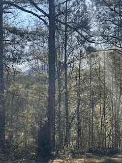 9-11 Sugar Maple Road, Murphy NC 28906 - Photo
