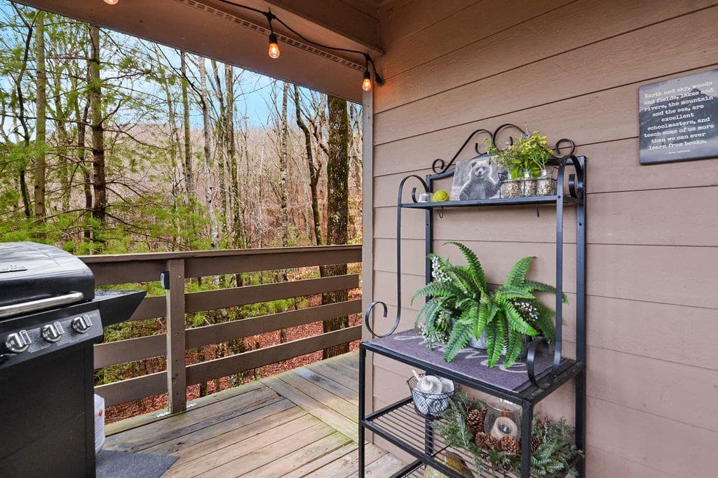 34 Garrett Drive, Ellijay GA 30540 - Photo