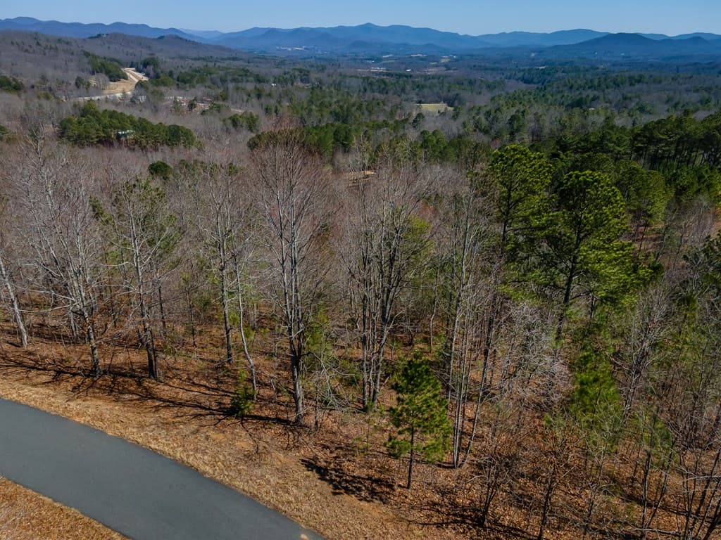 Lot 38 The Hills At Queens Gap, Blairsville GA 30512 - Photo