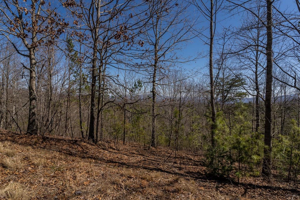 Lot 38 The Hills At Queens Gap, Blairsville GA 30512 - Photo