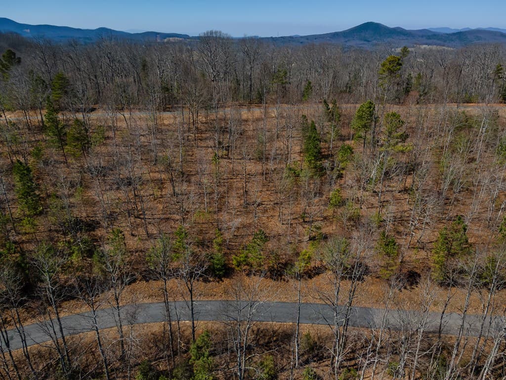 Lot 38 The Hills At Queens Gap, Blairsville GA 30512 - Photo