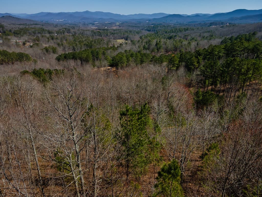 Lot 39 The Hills At Queens Gap, Blairsville GA 30512 - Photo