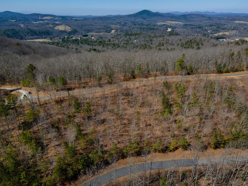 Lot 39 The Hills At Queens Gap, Blairsville GA 30512 - Photo