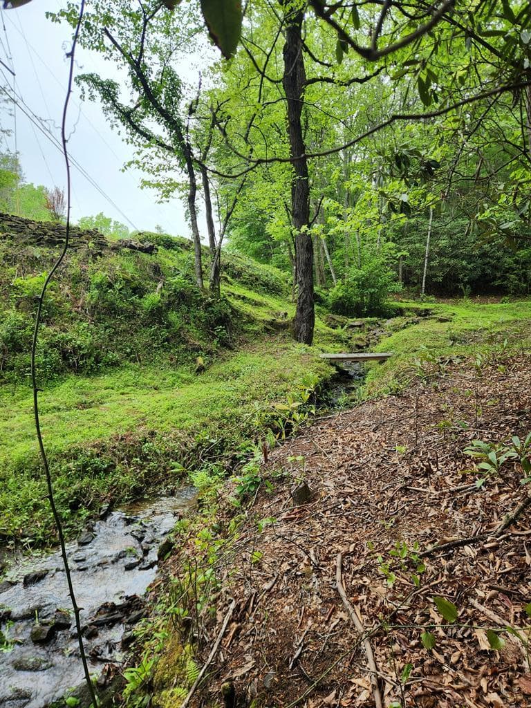820 Beaver Creek, Andrews NC 28901 - Photo