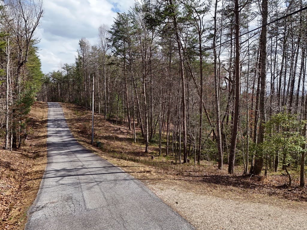 4.43 AC Turkey Trot, Blairsville GA 30512 - Photo