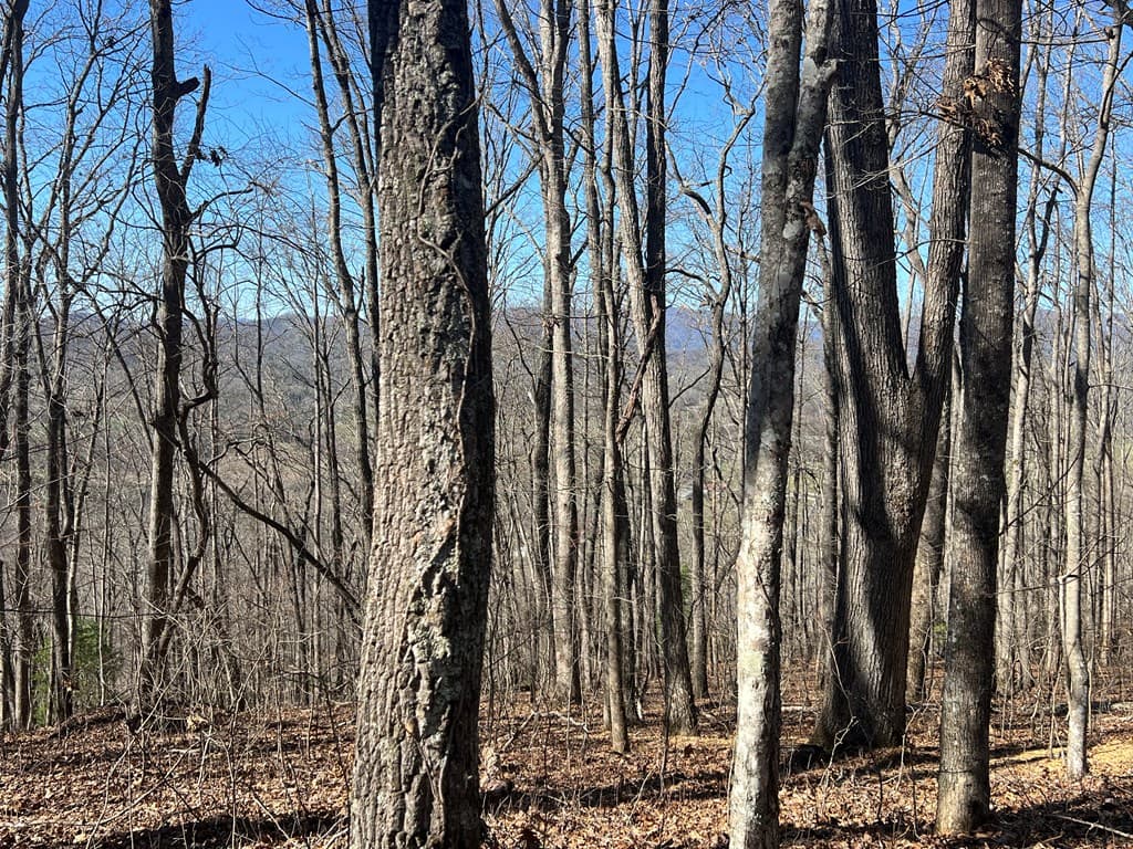Lots 7&8 Wikle Road, Hayesville NC 28904 - Photo