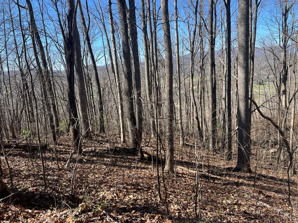 Lots 7&8 Wikle Road, Hayesville NC 28904 - Photo